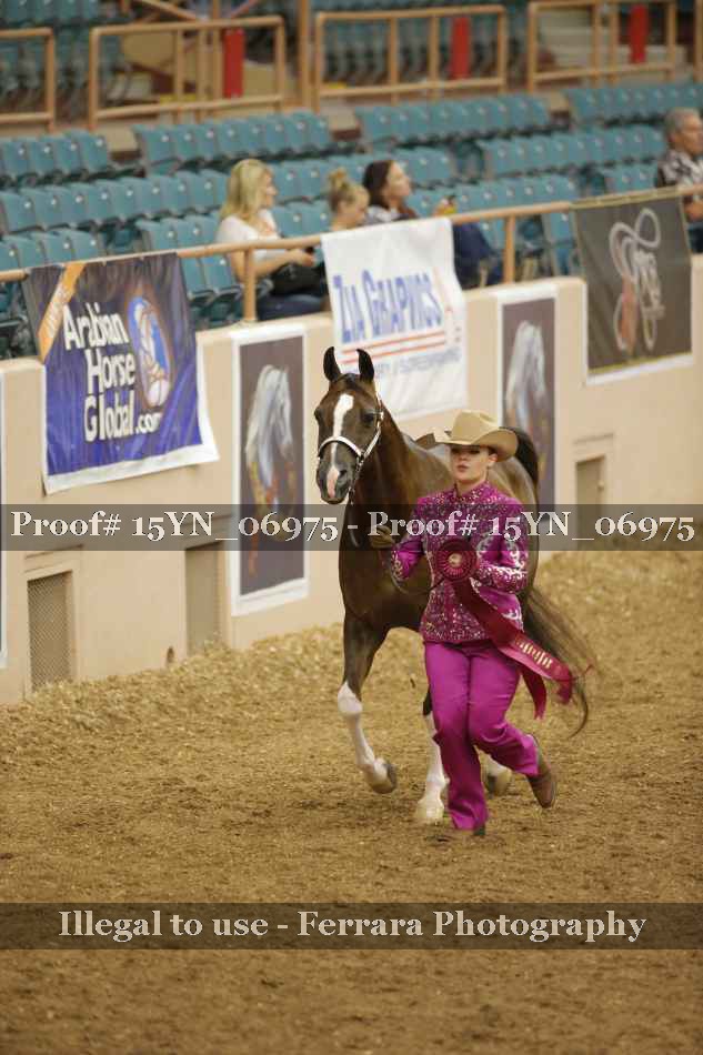 Proof 15YN_06975