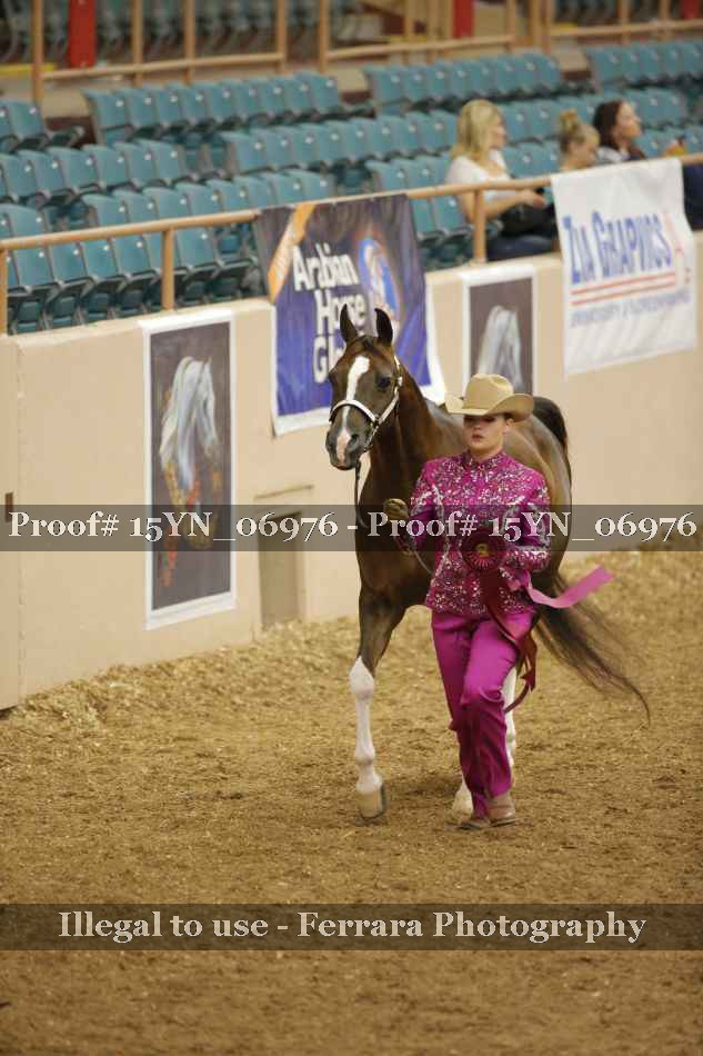 Proof 15YN_06976