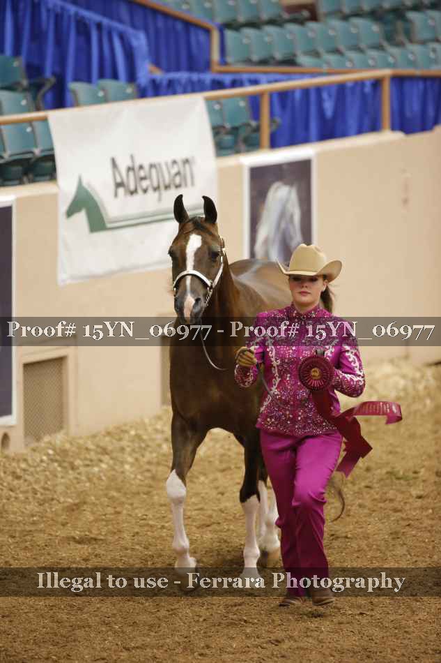 Proof 15YN_06977