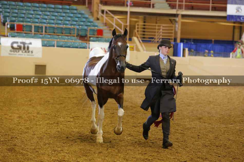 Proof 15YN_06978