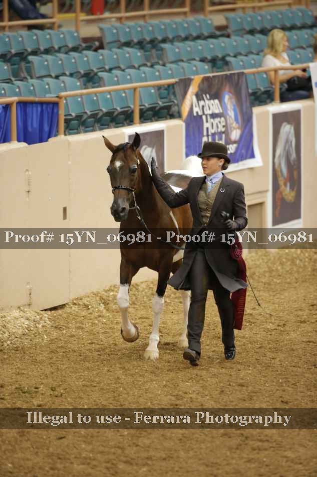 Proof 15YN_06981