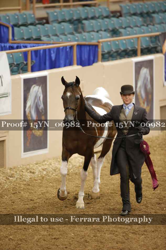 Proof 15YN_06982
