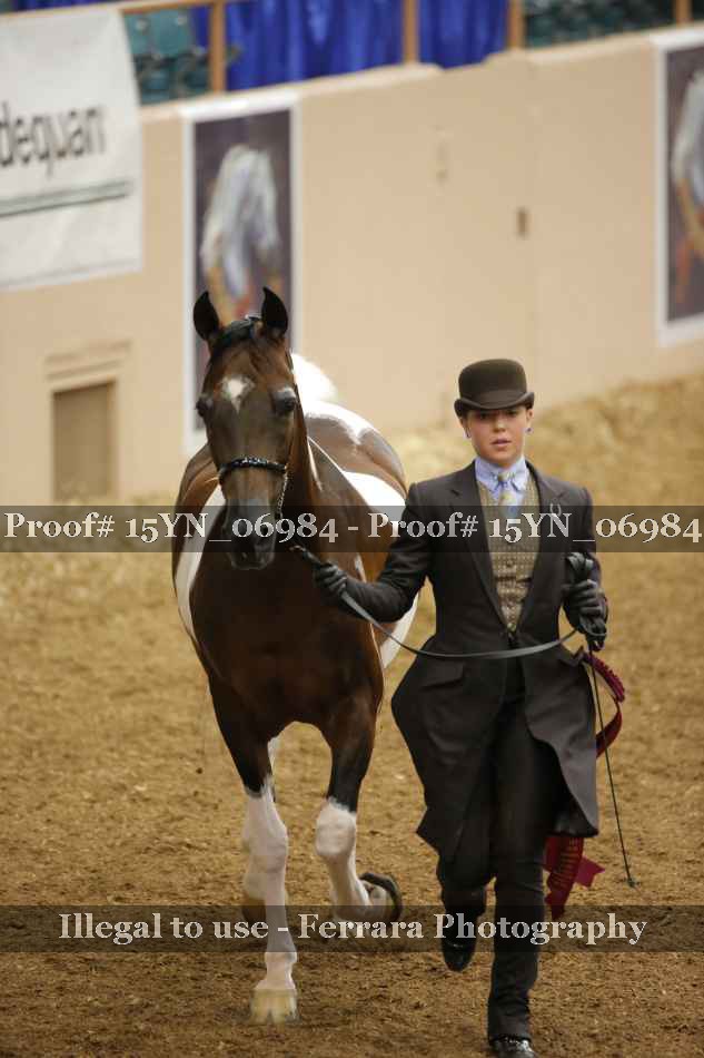 Proof 15YN_06984