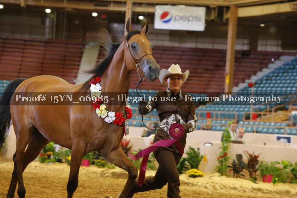 Proof 15YN_06985
