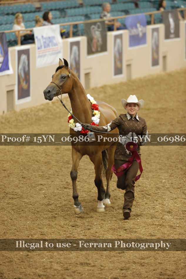 Proof 15YN_06986