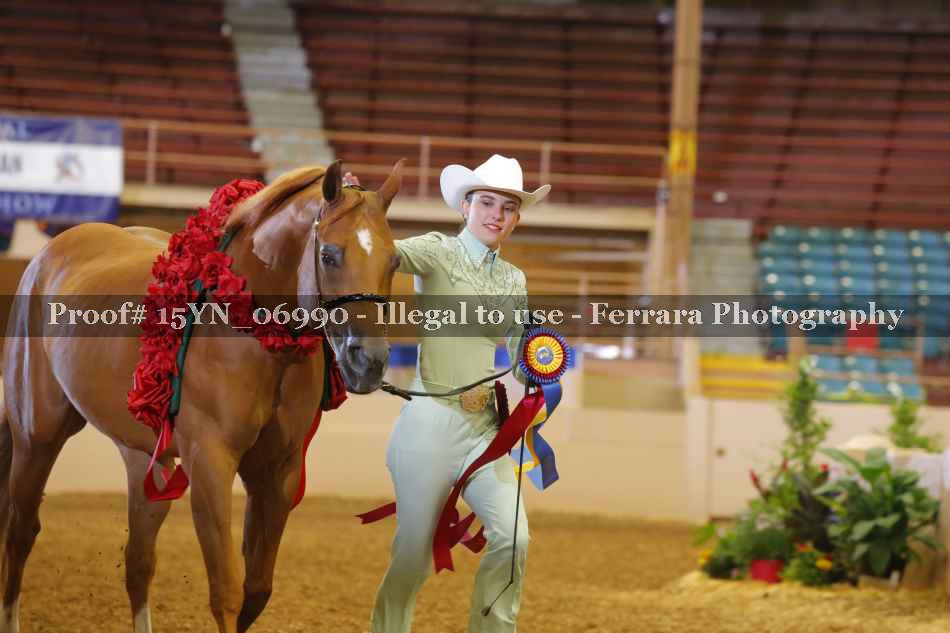 Proof 15YN_06990