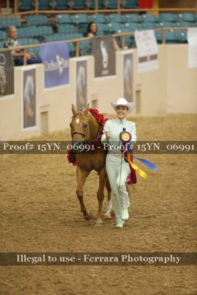 Proof 15YN_06991