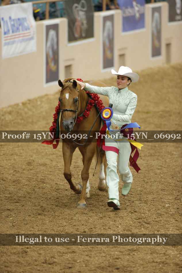 Proof 15YN_06992