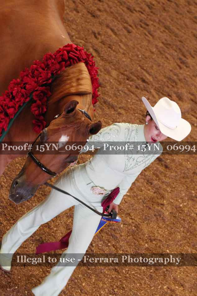 Proof 15YN_06994