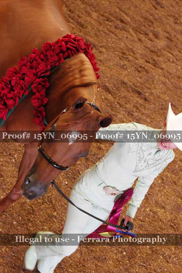 Proof 15YN_06995