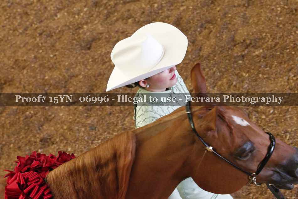 Proof 15YN_06996