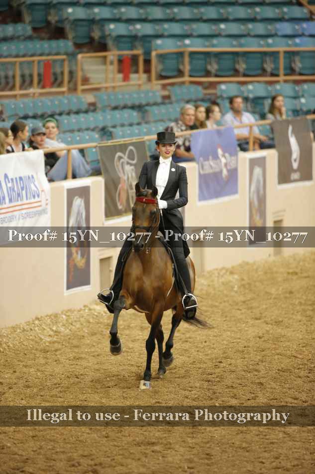 Proof 15YN_10277