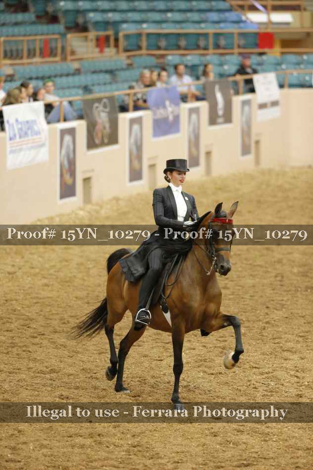 Proof 15YN_10279