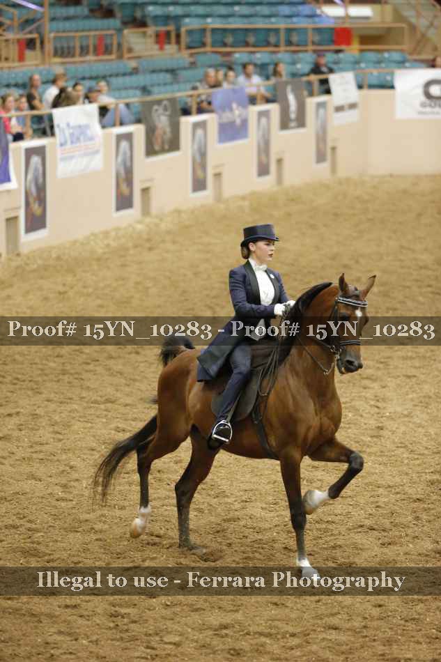 Proof 15YN_10283