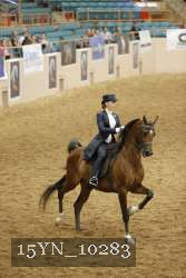 15YN_10283 proof