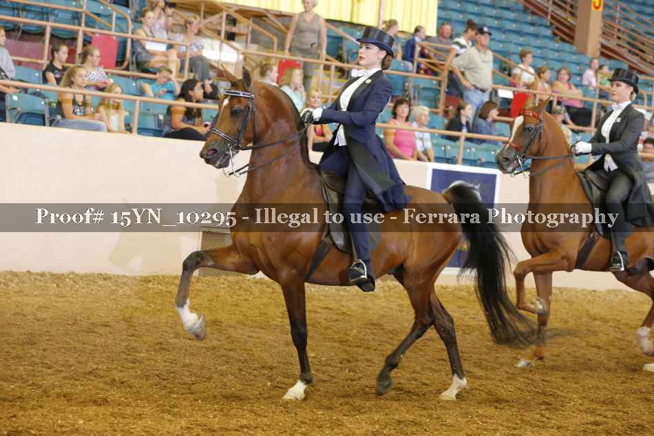 Proof 15YN_10295