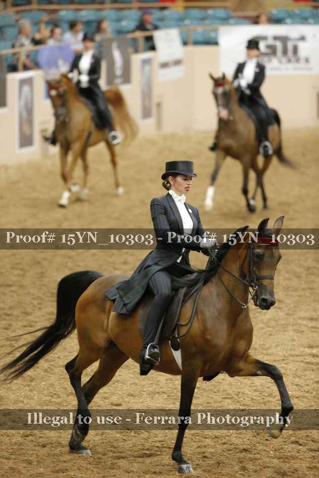 Proof 15YN_10303