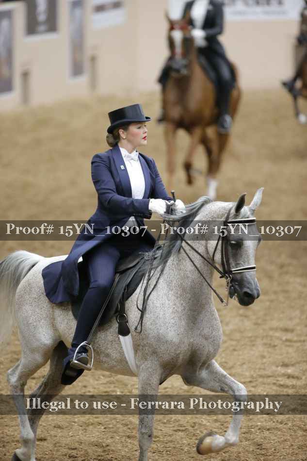 Proof 15YN_10307