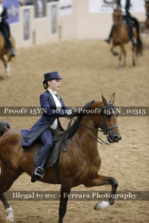 Proof 15YN_10313