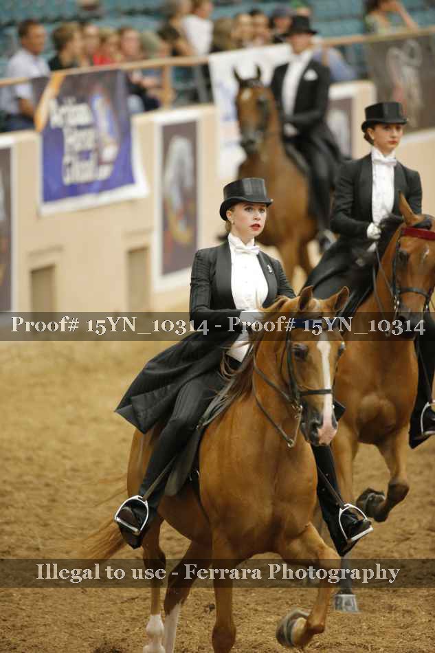 Proof 15YN_10314