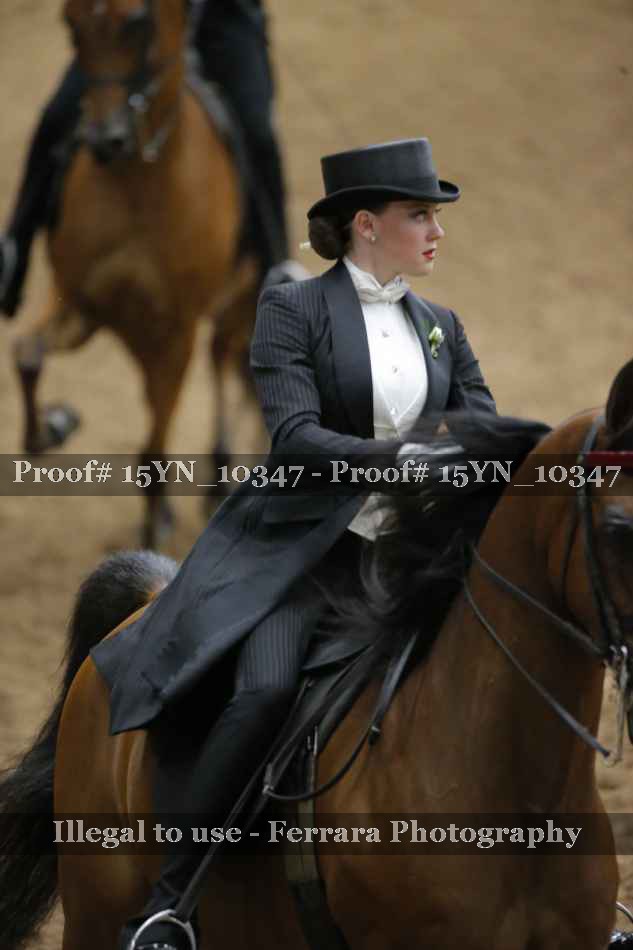 Proof 15YN_10347