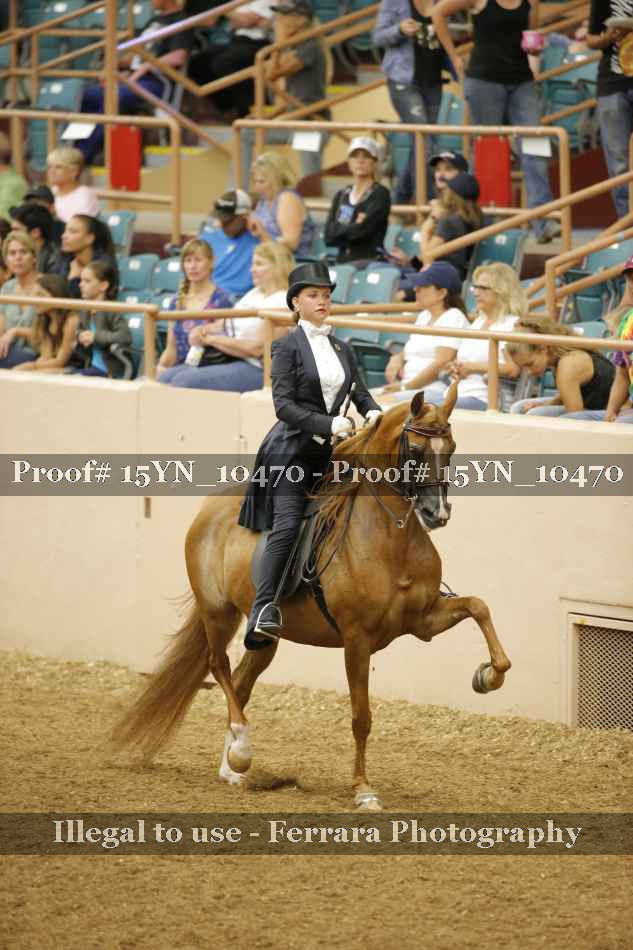 Proof 15YN_10470