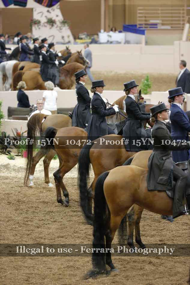 Proof 15YN_10472