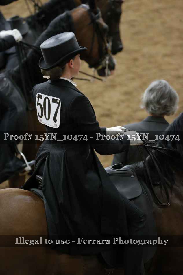 Proof 15YN_10474