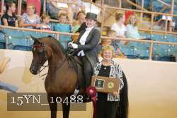 15YN_10488 proof