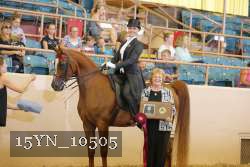 15YN_10505 proof