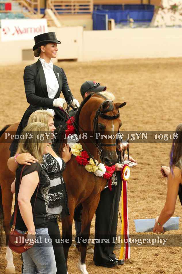 Proof 15YN_10518