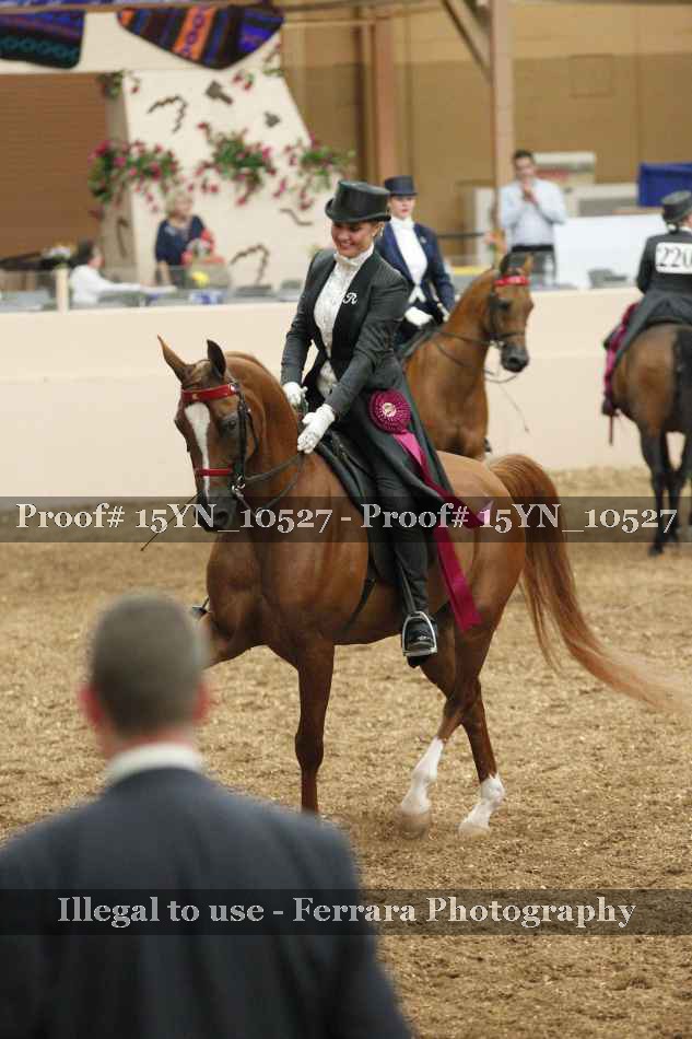 Proof 15YN_10527