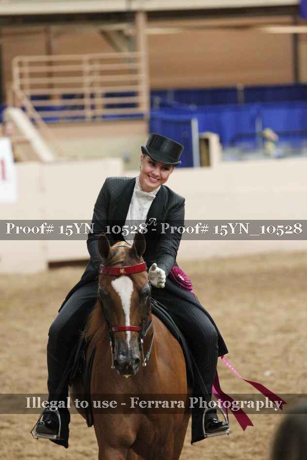 Proof 15YN_10528