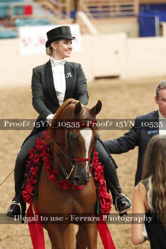 Proof 15YN_10535
