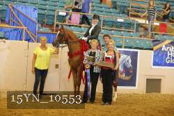 15YN_10553 proof