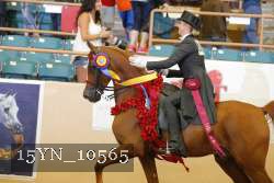 15YN_10565 proof