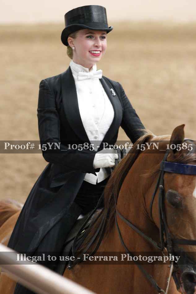 Proof 15YN_10585