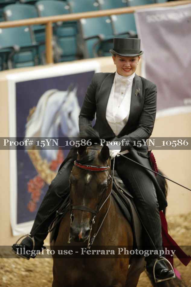 Proof 15YN_10586