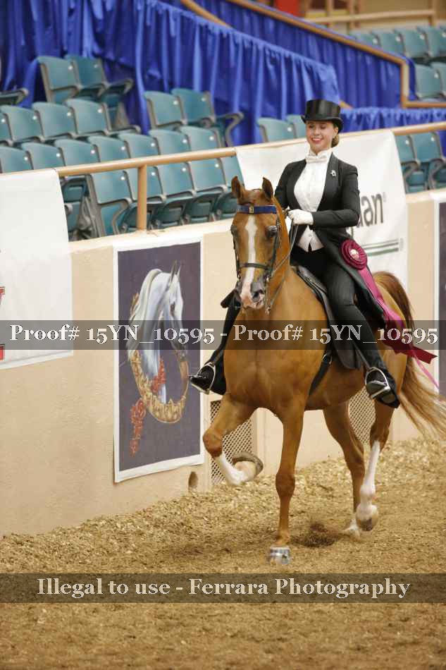 Proof 15YN_10595