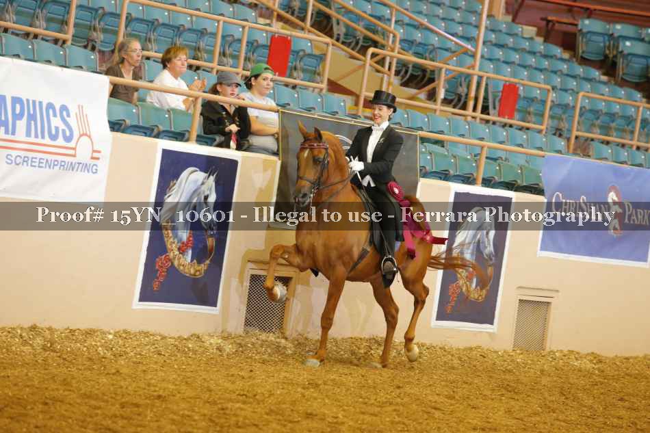 Proof 15YN_10601