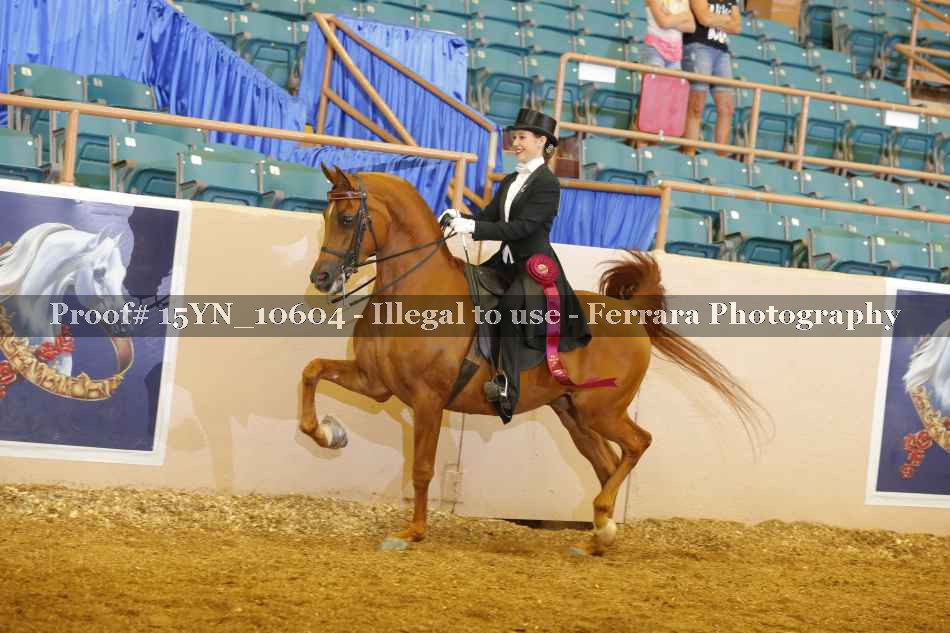 Proof 15YN_10604