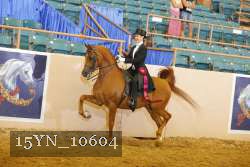 15YN_10604 proof