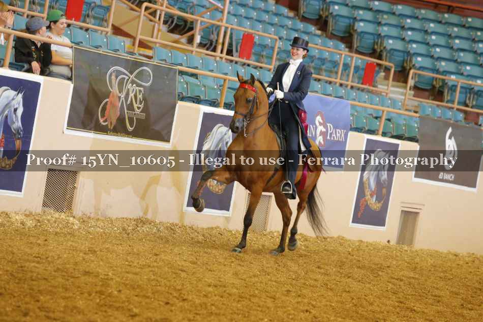 Proof 15YN_10605