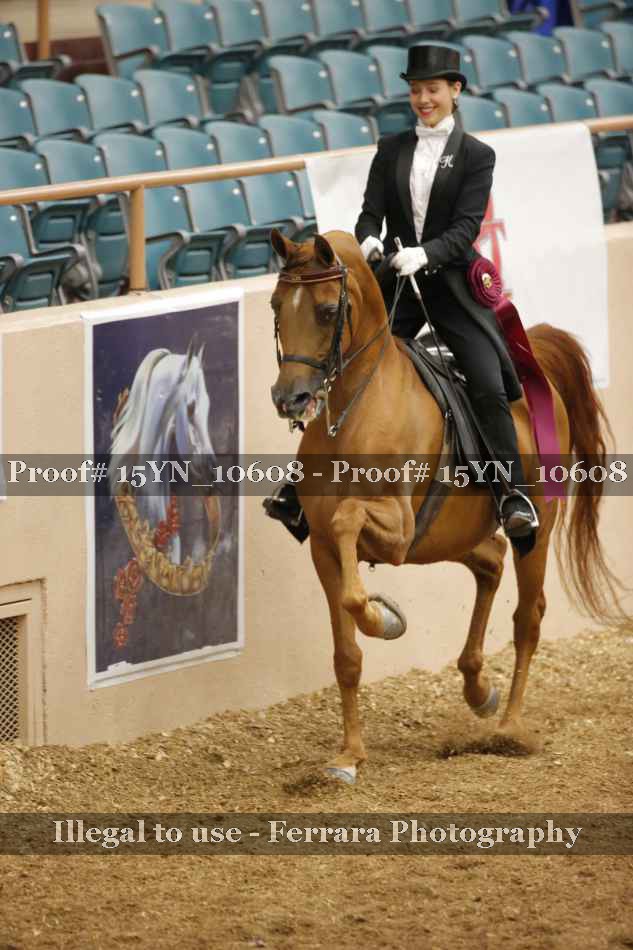 Proof 15YN_10608