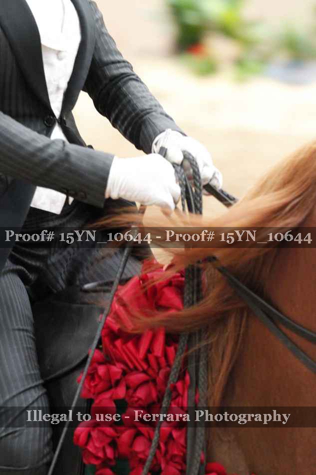 Proof 15YN_10644