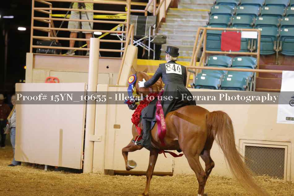 Proof 15YN_10655