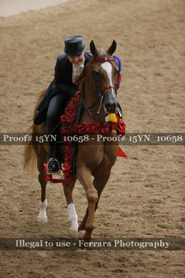 Proof 15YN_10658
