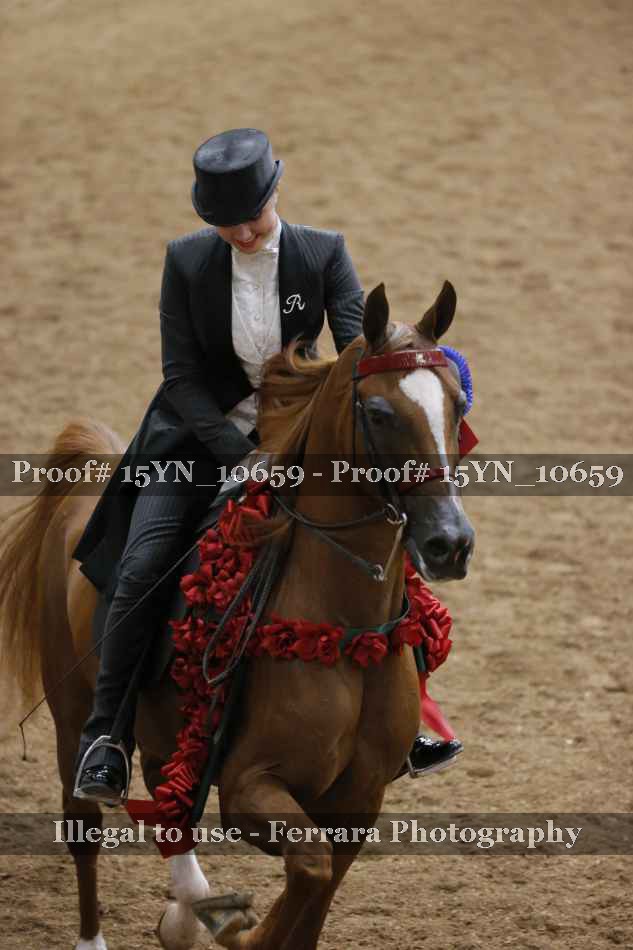 Proof 15YN_10659