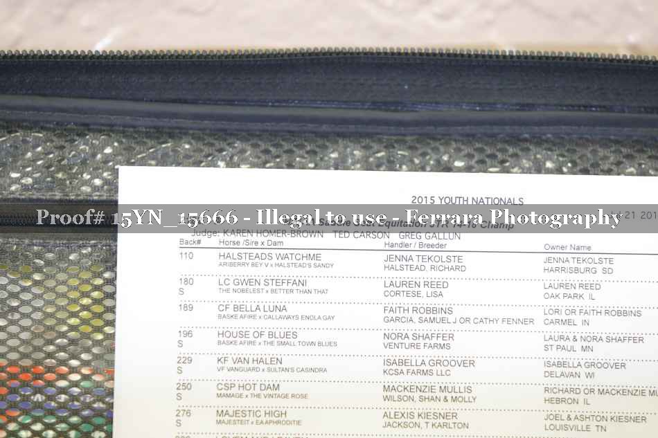 Proof 15YN_15666