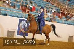 15YN_15679 proof